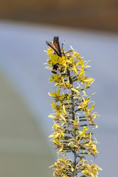 Similar image 21097383