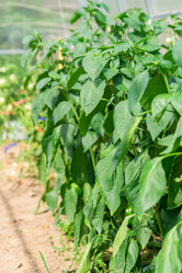 Similar image 21098091