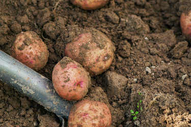 Similar image 21098095