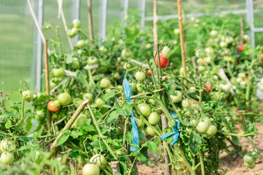 Similar image 21098114