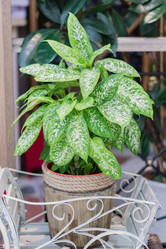 Similar image 21098520