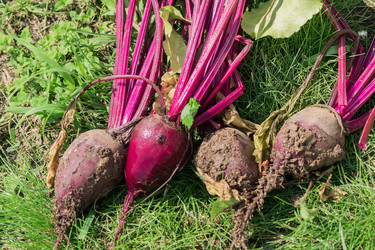 Similar image 21098521