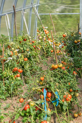 Similar image 21098522