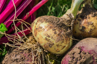 Similar image 21098525