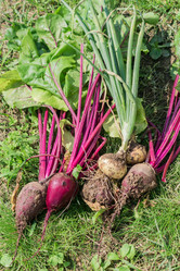 Similar image 21098527