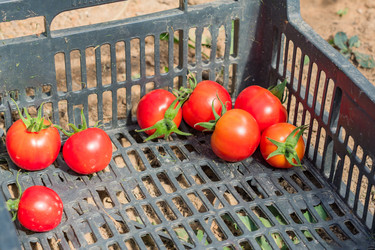 Similar image 21098528