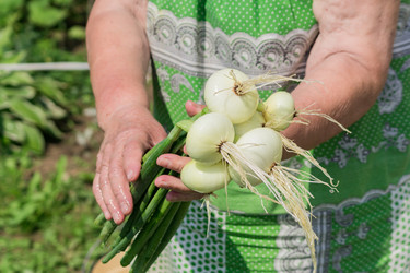 Similar image 21098529