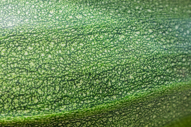 Similar image 21098654