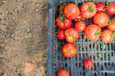 Similar image 21098657