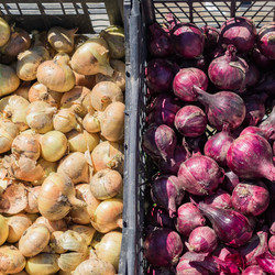 Similar image 21098659