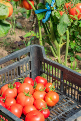 Similar image 21098660