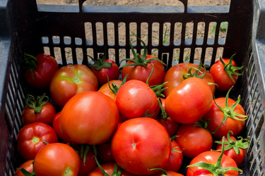 Similar image 21098669