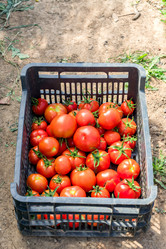 Similar image 21098677