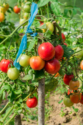 Similar image 21098678