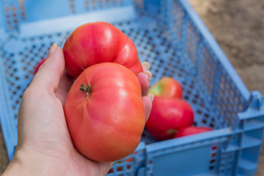 Similar image 21098680