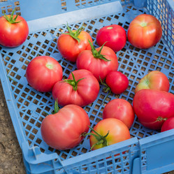 Similar image 21098682