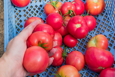 Similar image 21098686