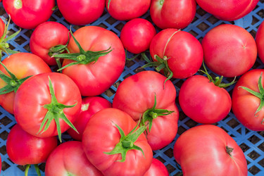 Similar image 21098848