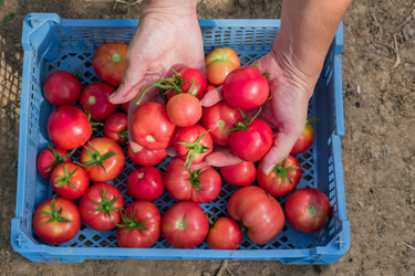 Similar image 21098850