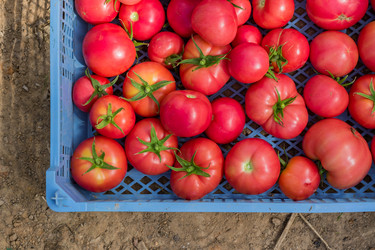 Similar image 21098853