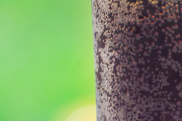 Similar image 21098854