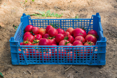 Similar image 21098856