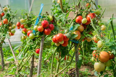 Similar image 21098859