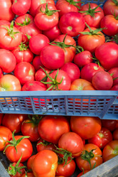 Similar image 21098866