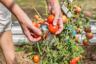 Similar image 21098875