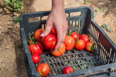 Similar image 21098879