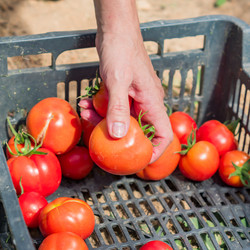 Similar image 21098881