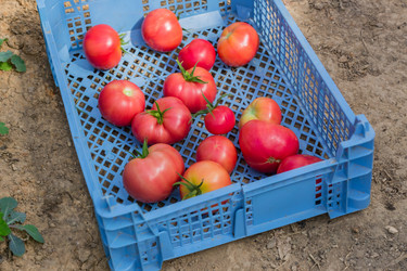 Similar image 21098889