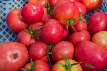 Similar image 21098891