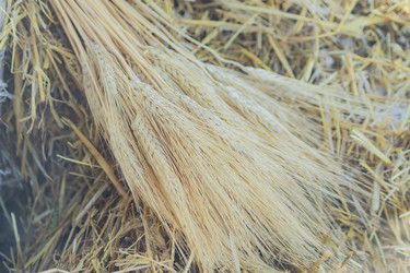 Similar image 21098893