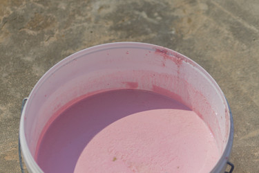 Similar image 21098900