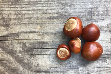 Similar image 21098901