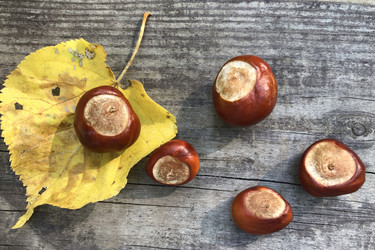 Similar image 21098903