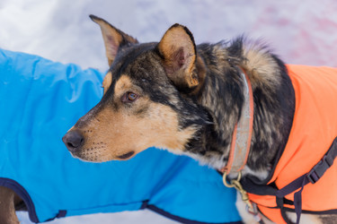 Similar image 21099517