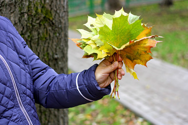 Similar image 21083168