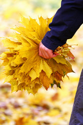 Similar image 21083169