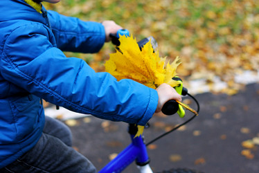 Similar image 21083170