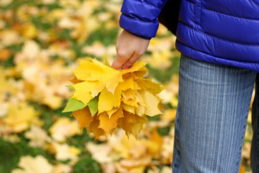 Similar image 21083185