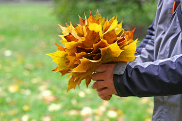 Similar image 21083188