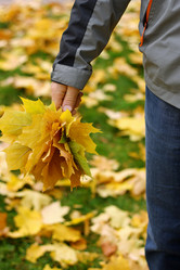 Similar image 21083189