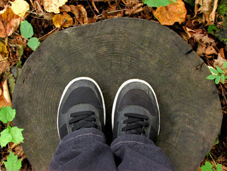 Similar image 21083193