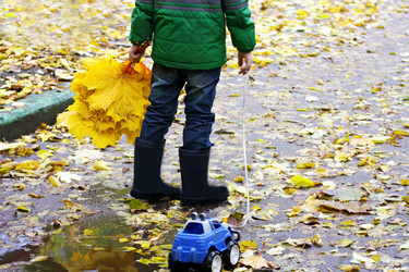 Similar image 21084119