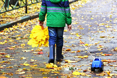 Similar image 21084121