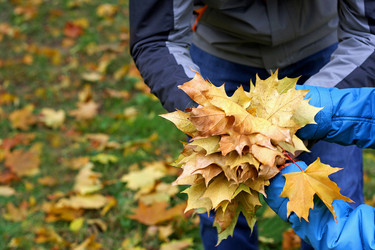 Similar image 21090482