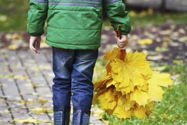 Similar image 21091554