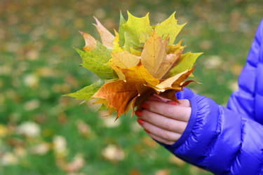 Similar image 21091656